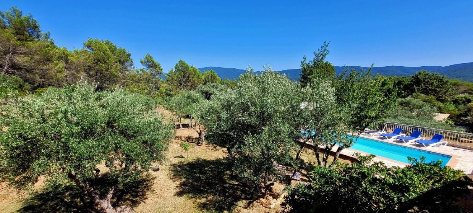 Au Petit Bonheur Villa Carnoules  ภายนอก รูปภาพ